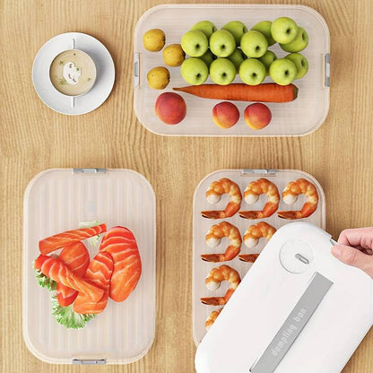 set of 3 Storage Container