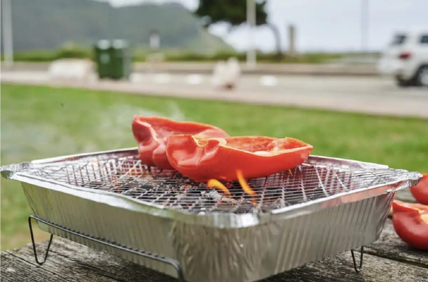 RESCH Portable Charcoal Disposable Grill with Charcoal & Grate