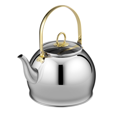 Stainless Steel Tea Kettle with Glass Lid