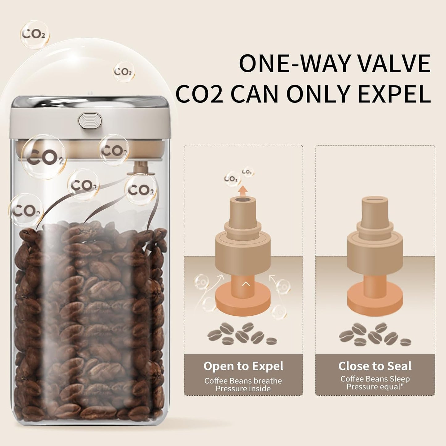 Airtight Coffee Container