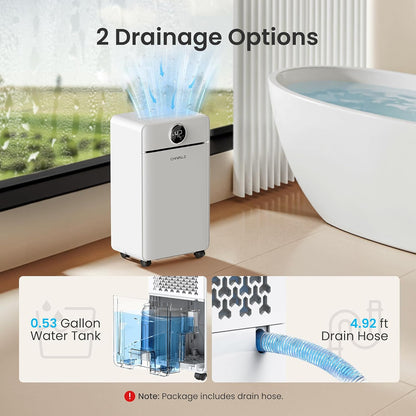 CHIVALZ Dehumidifier with Automatic Defrosting