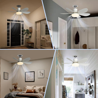 Flower Socket Fan Light (202614c)