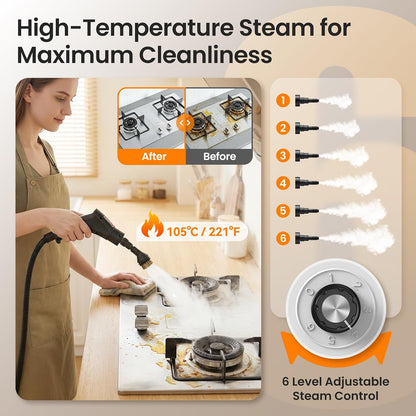Portable Steam Cleaner (202625c)