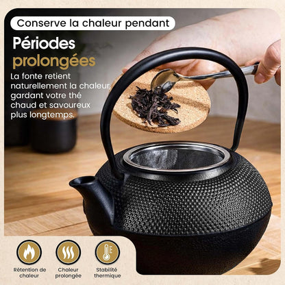 Dimono cast iron teapot