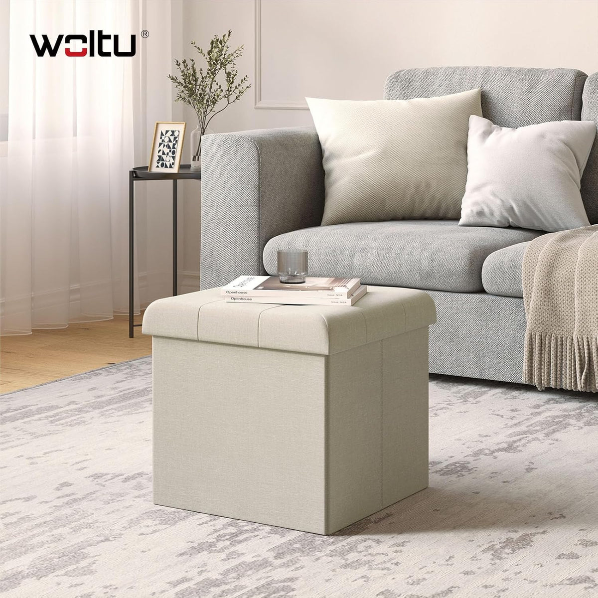WOLTU Velvet Storage Stool (SH06CM_1)