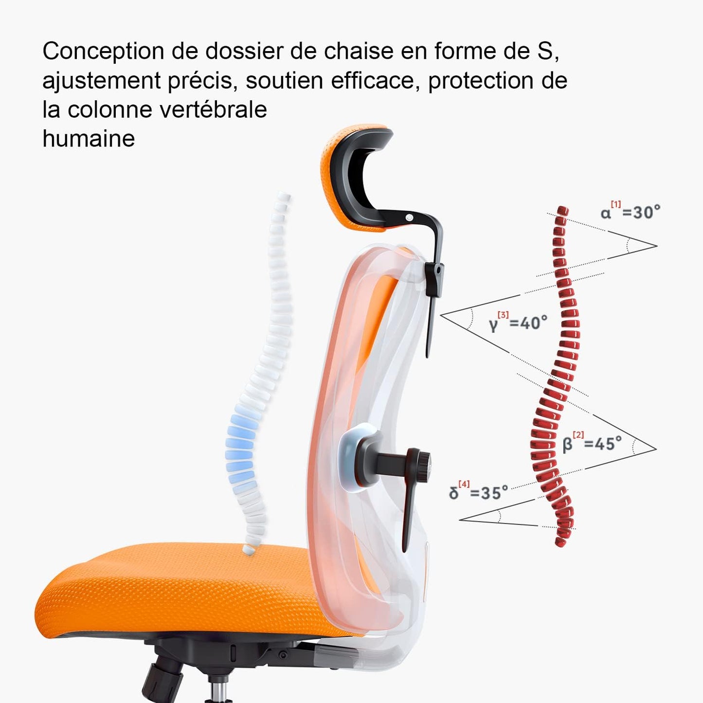 Sihoo M18 - Classic Office Chair With Triple Spinal Relief