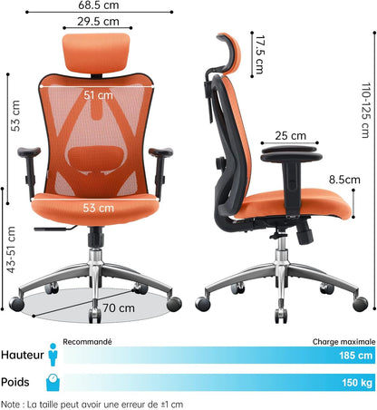 Sihoo M18 - Classic Office Chair With Triple Spinal Relief