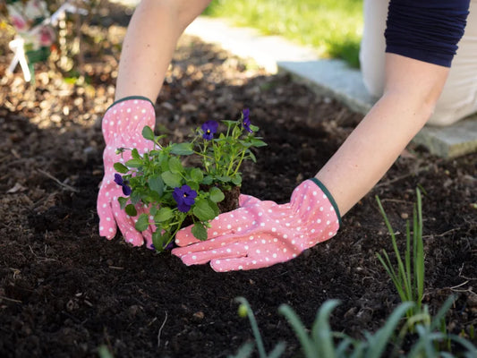 Garden glove