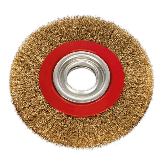 Parkside Wire Brush Wheel